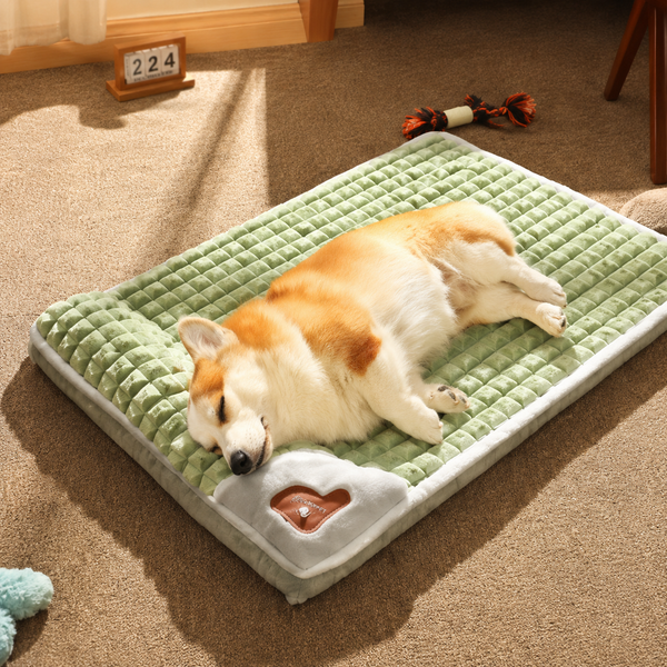 Perro corgi dormido y estirado sobre la cama ortopédica ComfyPaw verde salvia