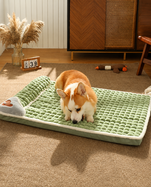Perro corgi sobre la cama ortopédica ComfyPaw en un salón con mueble de madera